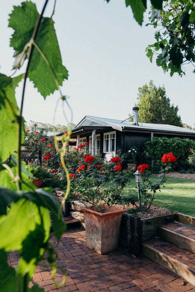 Hillview cottage surrounded by roses at Bunnyconnellen. Bunnyconnellen Winter Accommodation