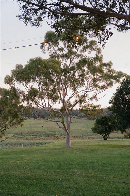The Gum Tree at Bunnyconnellen.
Bunnyconnellen Winter Accommodation
