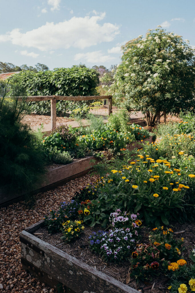 The chefs garden at Bunnyconnellen. Bunnyconnellen Winter Accommodation