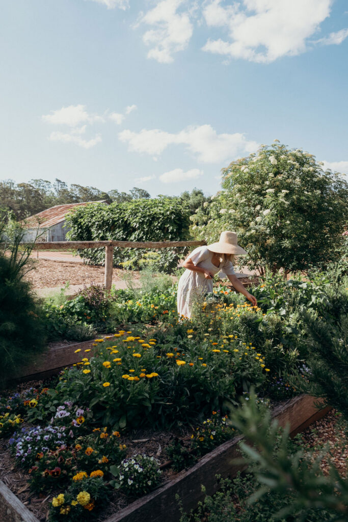 Picking herbs from the chefs garden at Bunnyconnellen. Bunnyconnellen Winter Accommodation