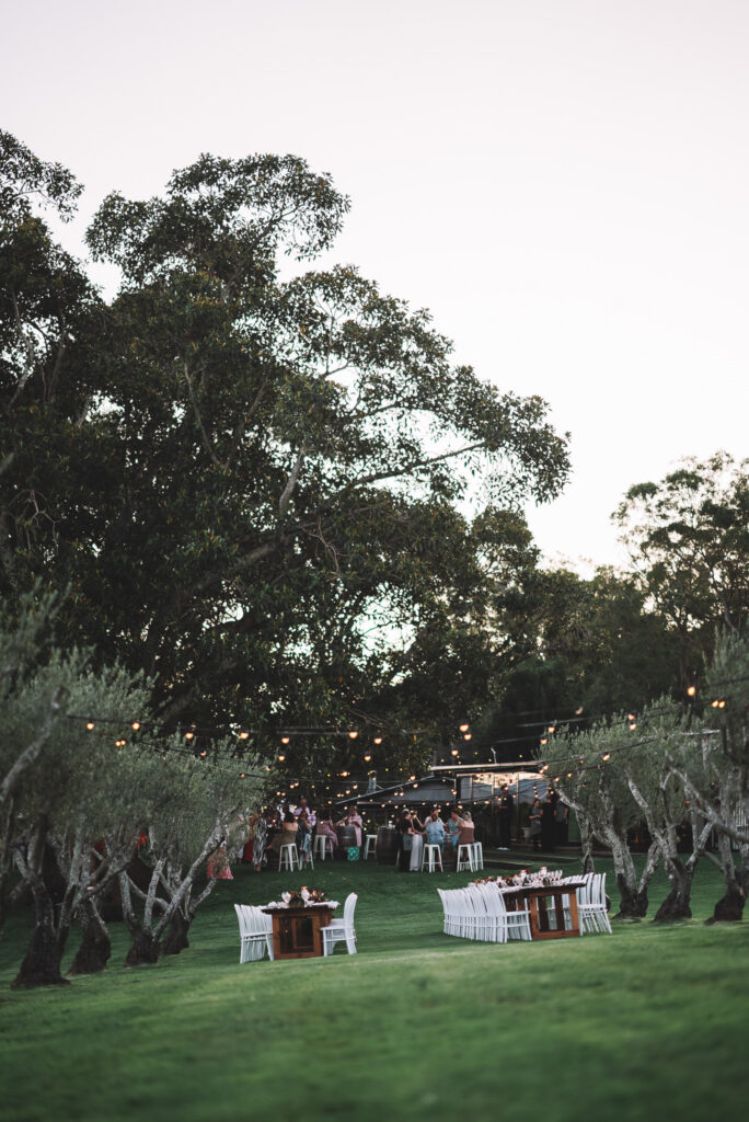 Christmas In The Grove