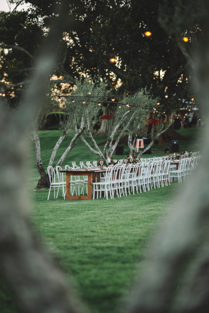 Christmas In The Grove