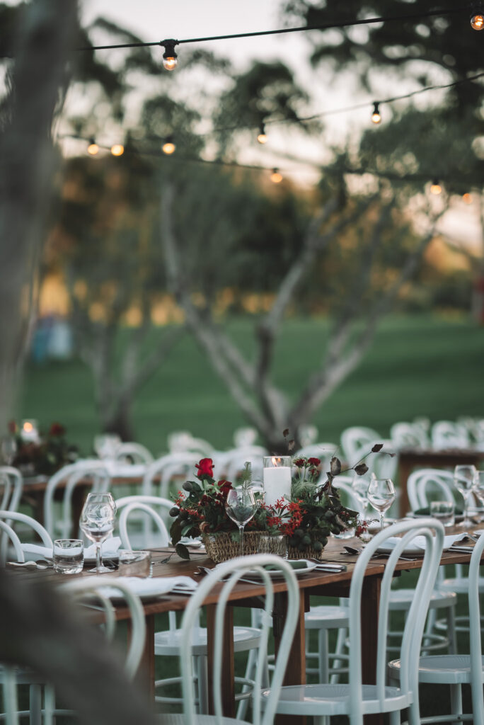 Christmas In The Grove